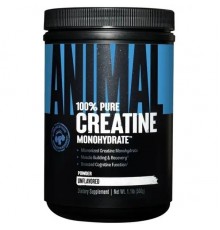 Креатин моногідрат, Universal Animal Creatine Powder, 500 грам (Без смаку)