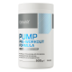 Передтренувальний комплекс, PUMP Pre-Workout Formula, OstroVit, 500 грам ( Апельсин)