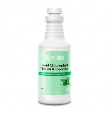 Рідкий хлорофіл, Liquid Chlorophyll, NSP, 476 мл