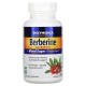 Берберин, Berberine, Enzymedica, 120 капсул
