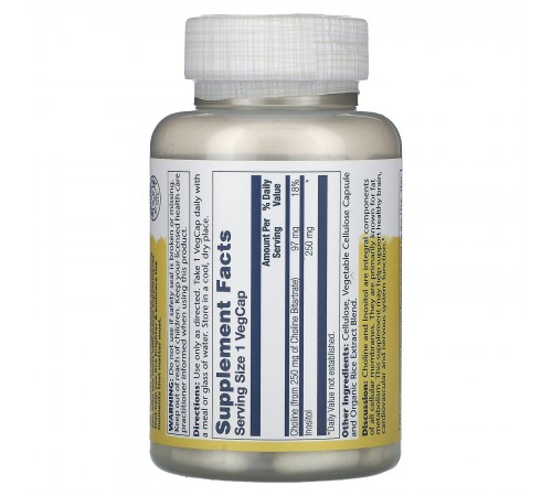 Холин-Иозитол, Choline&Inositol, Solaray, 250 мг, 100 капсул